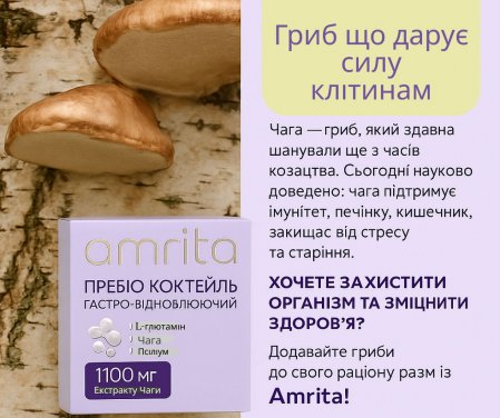 Пребіо коктейль з екстрактом чаги — сила клітин від Amrita