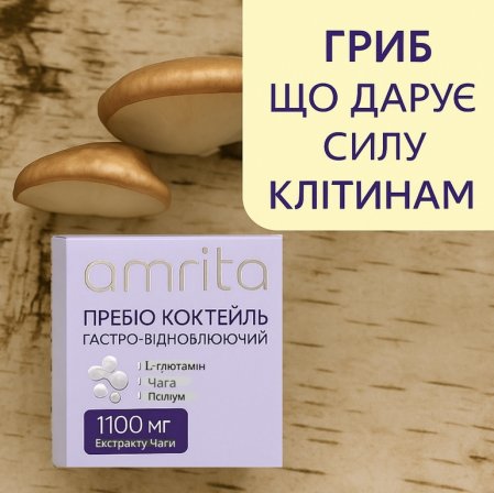 Amrita: Пребіо коктейль з чагой