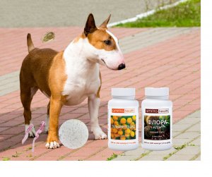 Набір Позбудься небажаних гостей! Знижка -15%+ ваша особиста знижка!  Набір Позбудься небажаних гостей! Знижка -15%+ ваша особиста знижка!