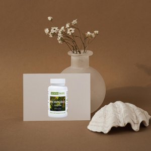 Нефровіл екстра при гострих запальних процесах сечовидільної системи