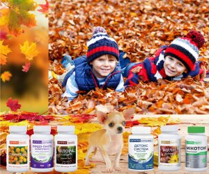 Антипаразитарная программа Элит Амрита 2025 трехмесячный базовый курс