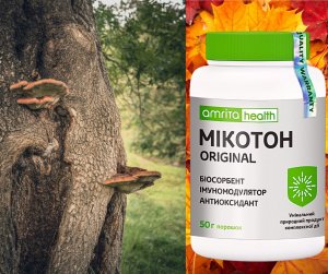 Микотон Оригинал порошок, природный сорбент, семейная упаковка 50 г